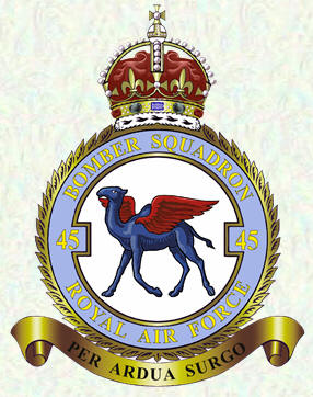 No 45 Squadron badge