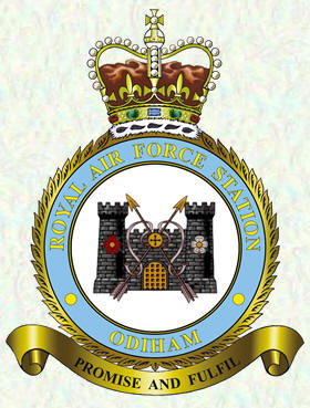 RAF Odiham badge
