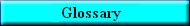 Glossary