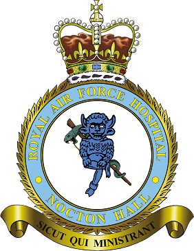RAF Hospital Nocton Hall badge