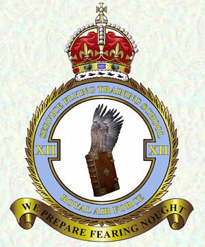 Badge - No 12 (Service) Flying Training School
