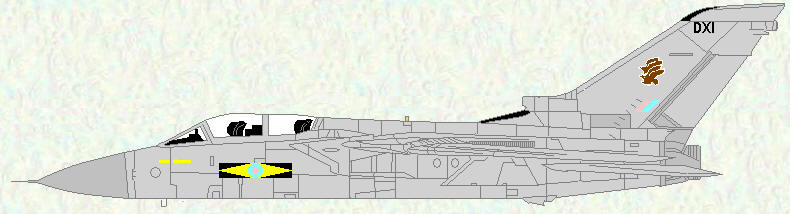 Tornado F Mk 3 of No 11 Squadron