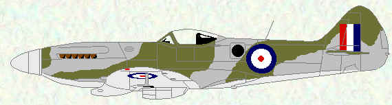 Spitfire XIV of No 11 Squadron (Japan - 1947)
