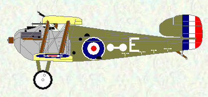 Dolphin of No 19 Squadron