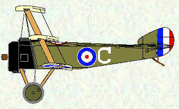 Sopwith Triplane of No 10 Squadron RNAS