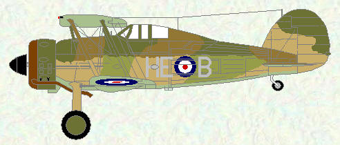 Gladiator II of No 263 Squadron (four tone scheme)