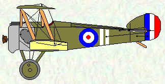 Camel of No 3 Squadron - Oct - Dec 1917