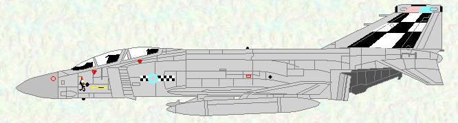 Phantom FG Mk 1 of No 43 Squadron (OC's aircraft 1987)