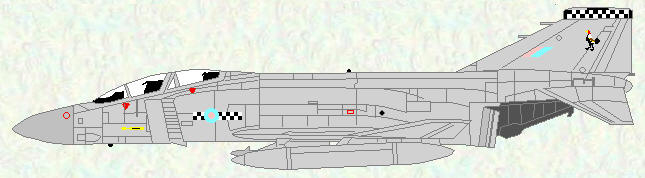 Phantom FG Mk 1 of No 43 Squadron (low visibility scheme 1982)