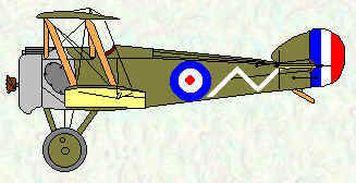 Camel of No 54 Squadron