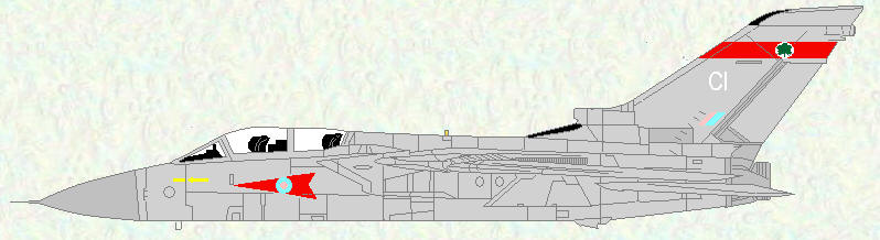 Tornado F Mk 3 of No 5 Squadron