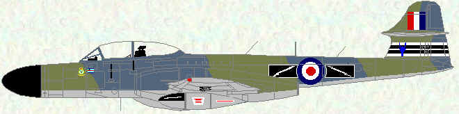 Meteor NF Mk 14 of no 60 Squadron (CO's aircraft - 1960)