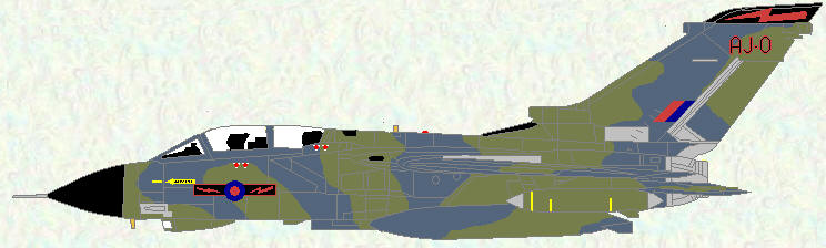 Tornado GR Mk 1 of No 617 Squadron (Grey/Green scheme)