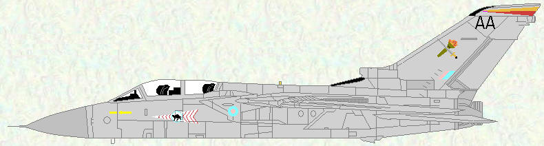 Tornado F Mk 3 of No 65 (Reserve) Squadron