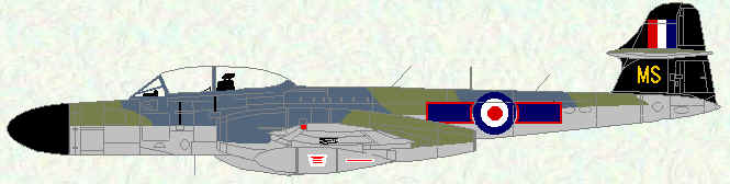Meteor NF Mk 14 of No 72 Squadron (CO's aircraft - 1956)