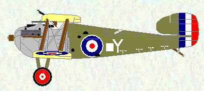 Dolphin of No 79 Squadron