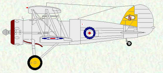 Gauntlet II of No 79 Squadron