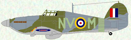 Hurricane IIb of No 79 Squadron (1941)