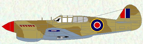 Kittyhawk II as used by No 260 Squadron