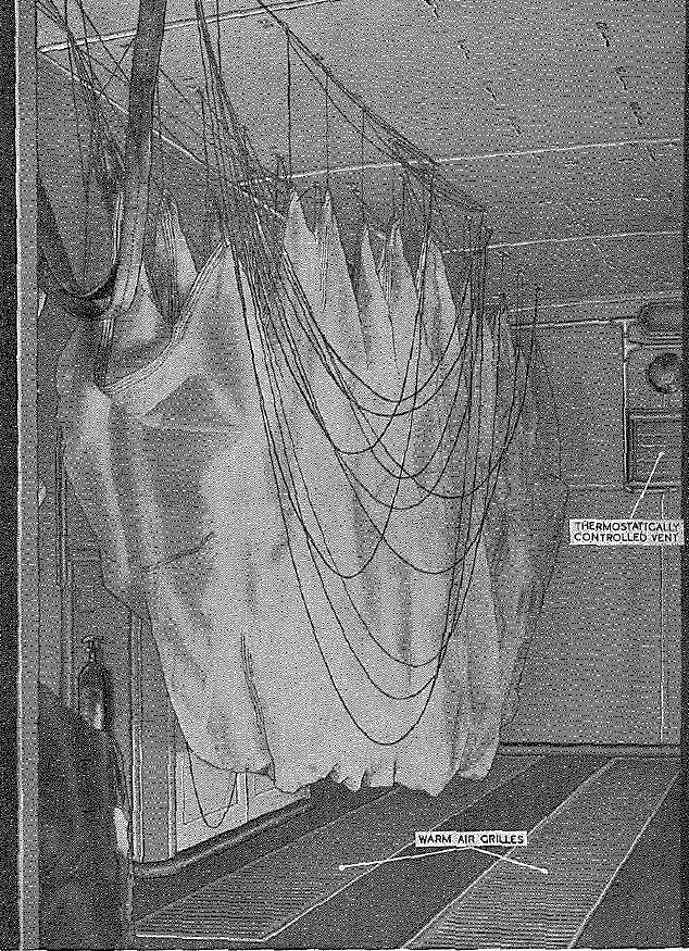 Ford. 3 ton, 6x4, WOT 1A/1, equipped for parachute drying - Inside