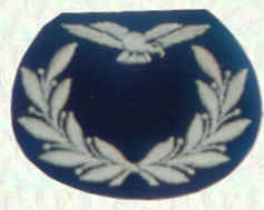 Aircrew Cadet