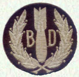 Bomb Disposal
