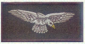 Airmens' shoulder flash 1996 - present